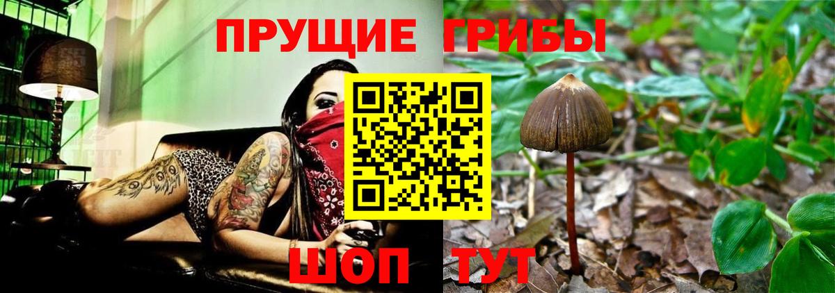 Галлюциногенные грибы GOLDEN TEACHER  Псилоцибиновые грибы Psilocybe  Вход с VPN  Елабуга 