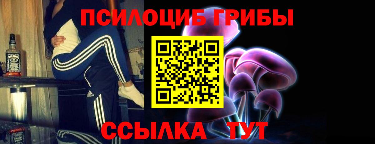 Галлюциногенные грибы Psilocybe Елабуга